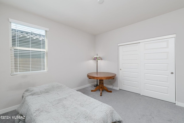 bedroom featuring carpet and a closet