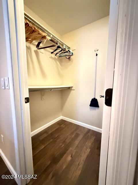 spacious closet featuring dark hardwood / wood-style floors