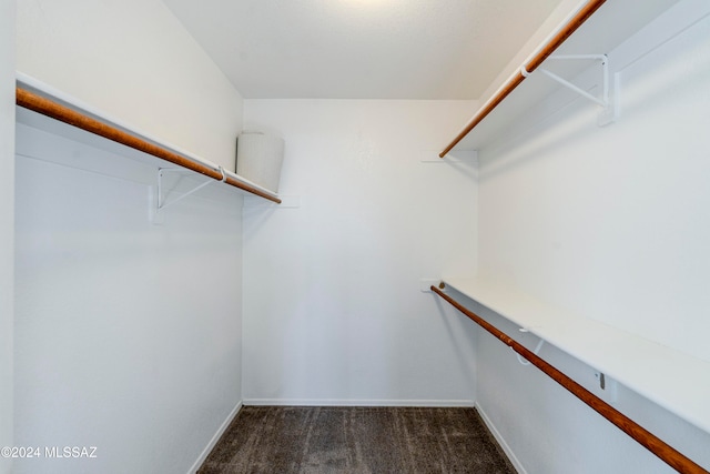 walk in closet with dark carpet