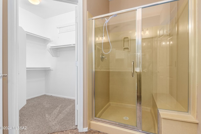 bathroom featuring a shower with shower door