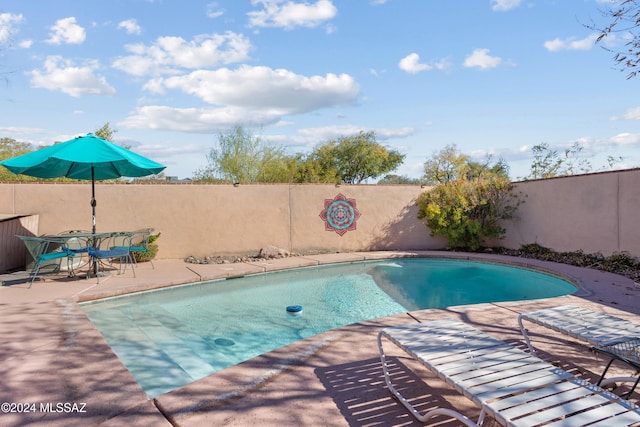 view of swimming pool featuring a patio