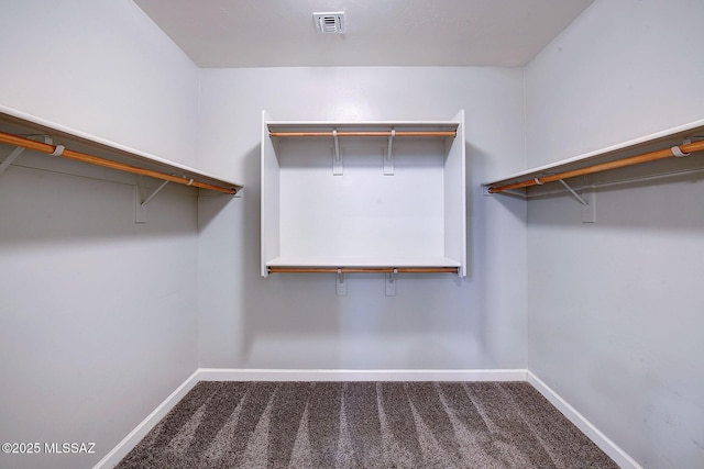 walk in closet with carpet