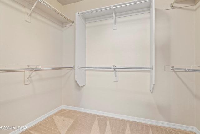 spacious closet featuring carpet