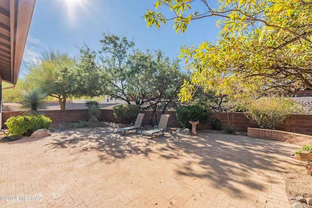 view of yard with a patio area