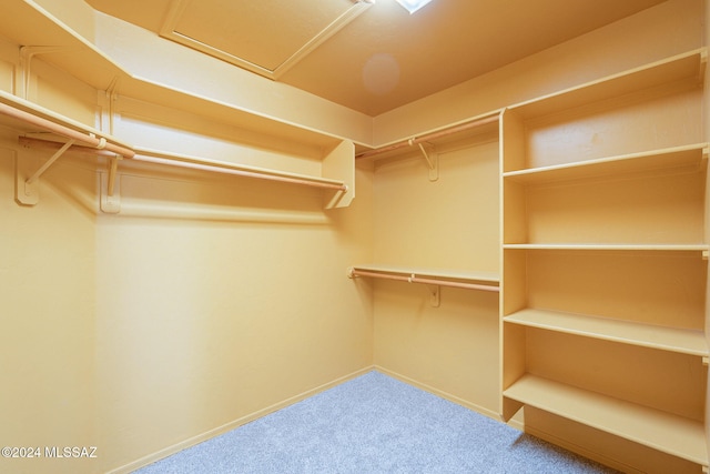 walk in closet featuring carpet floors