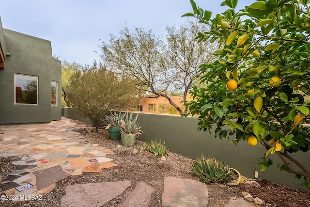 view of yard featuring a patio