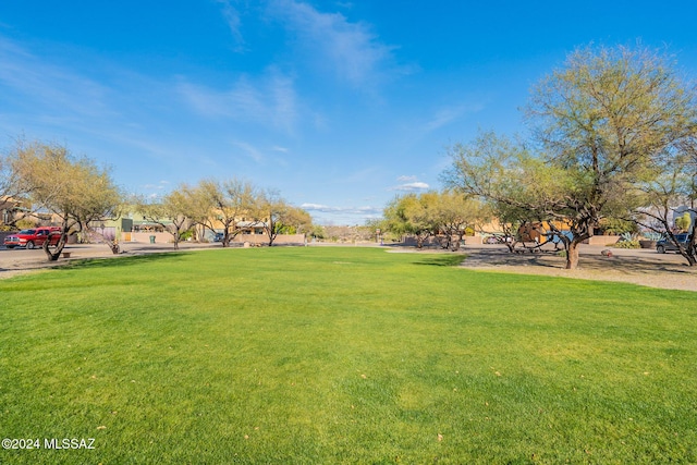 view of community with a yard