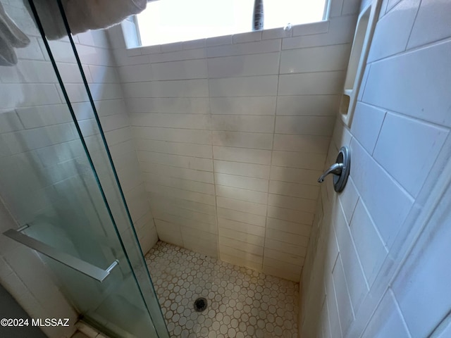 bathroom featuring a shower with shower door