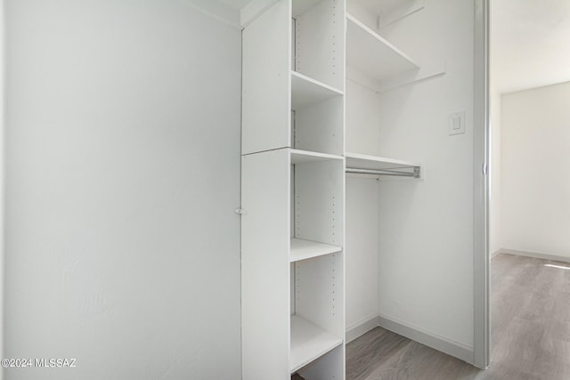 spacious closet with hardwood / wood-style flooring