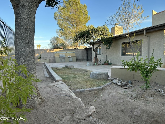 view of yard with an outdoor kitchen