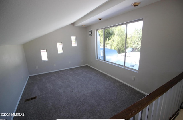 interior space featuring dark colored carpet and lofted ceiling