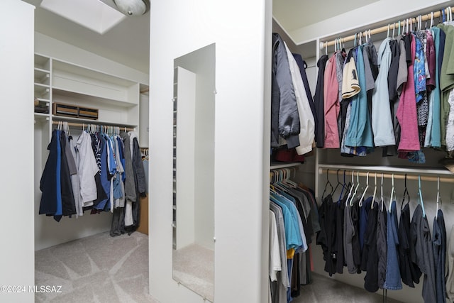 walk in closet featuring carpet