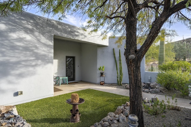 view of exterior entry featuring a yard, a patio, and stucco siding