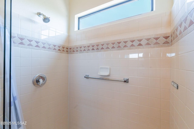 1474 N Miranda Ln, Green Valley, AZ 85614 - full bathroom with a tile shower