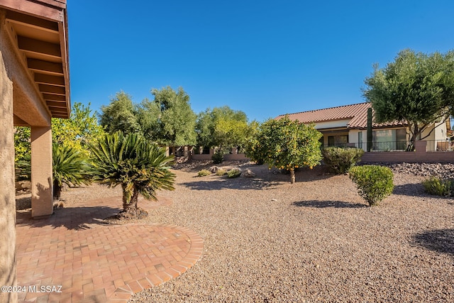 view of yard with a patio area