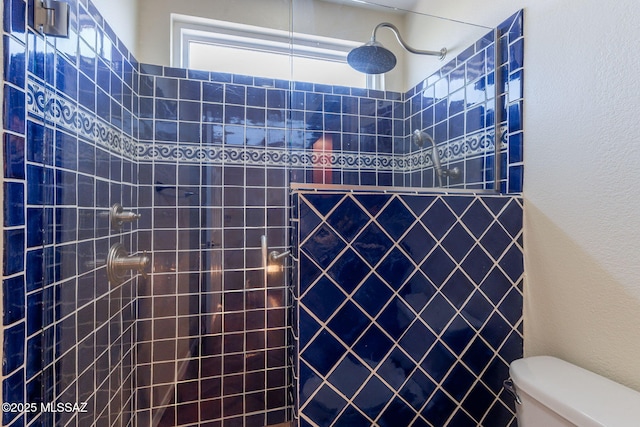 1474 N Miranda Ln, Green Valley, AZ 85614 - bathroom featuring a textured wall, toilet, and tiled shower