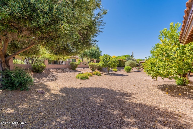 1474 N Miranda Ln, Green Valley, AZ 85614 - view of yard with fence