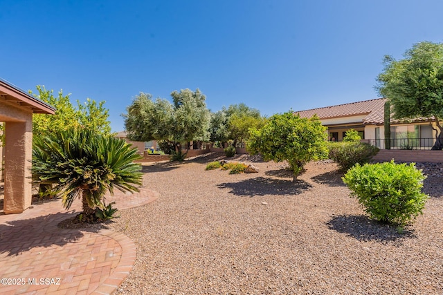 1474 N Miranda Ln, Green Valley, AZ 85614 - view of yard