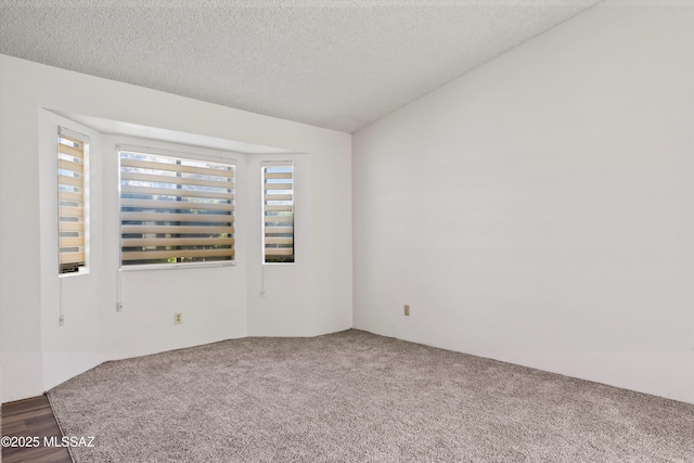 empty room with a textured ceiling and carpet flooring