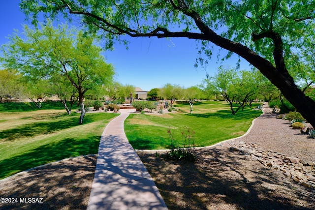 view of community featuring a lawn