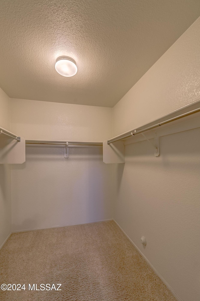 spacious closet with carpet flooring