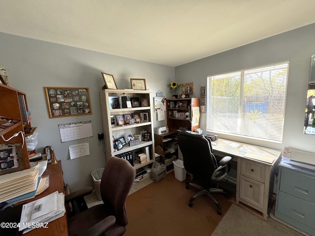 view of carpeted home office