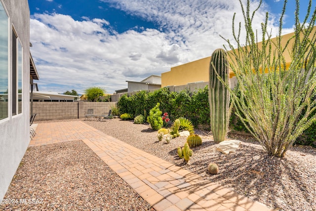 view of yard with a patio