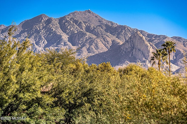 property view of mountains