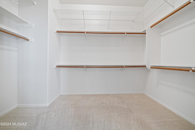 walk in closet featuring carpet floors