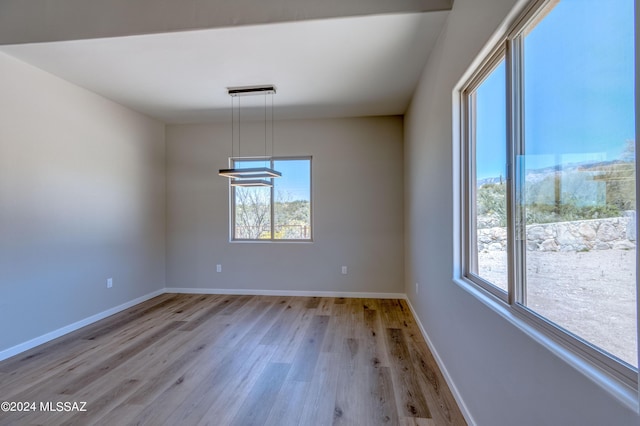 unfurnished room with light hardwood / wood-style flooring and a wealth of natural light