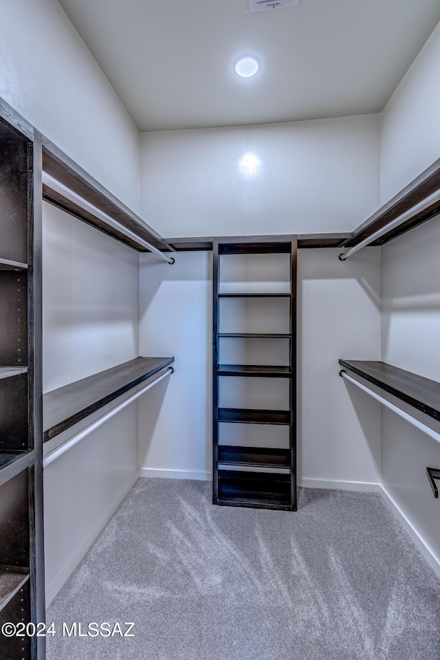 walk in closet with carpet