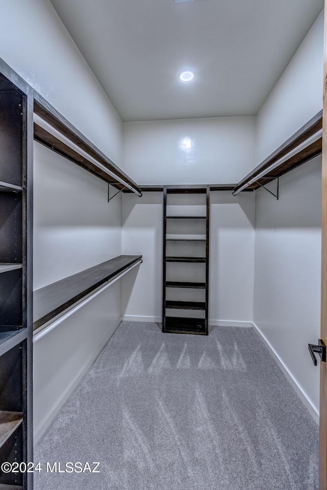 walk in closet with carpet