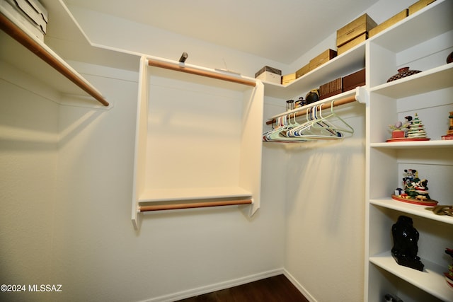 spacious closet featuring dark hardwood / wood-style floors