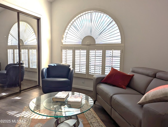 living area featuring a healthy amount of sunlight, baseboards, and wood finished floors