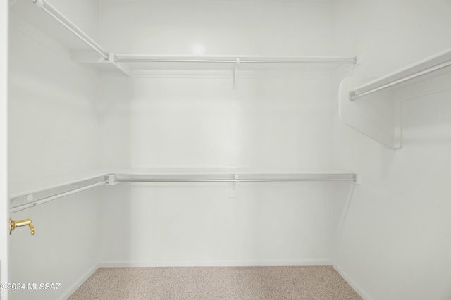 spacious closet featuring carpet