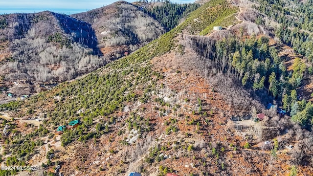 12897 N Winkelman Ave Unit 14, Mount Lemmon, AZ 85619