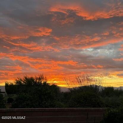 view of nature at dusk