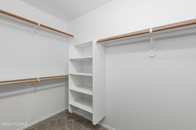 walk in closet with dark colored carpet