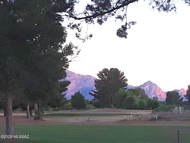 view of home's community with a mountain view