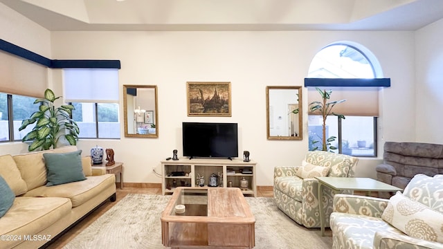 living room featuring a raised ceiling and wood-type flooring