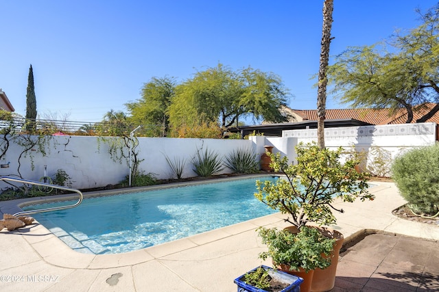 view of swimming pool featuring a patio