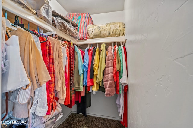 walk in closet featuring carpet