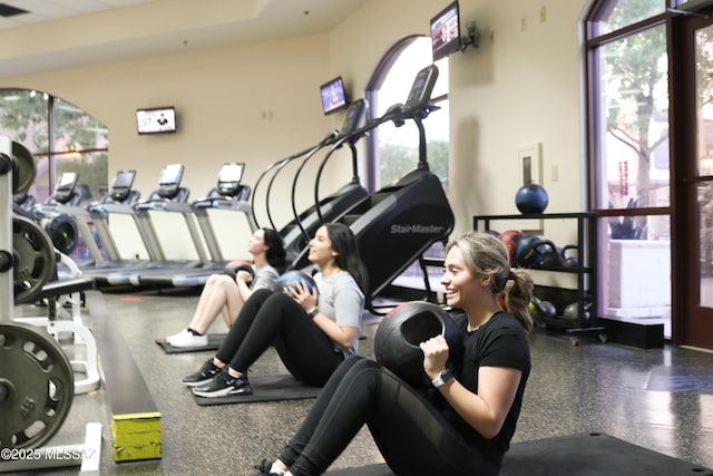 gym featuring plenty of natural light