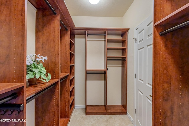 view of spacious closet