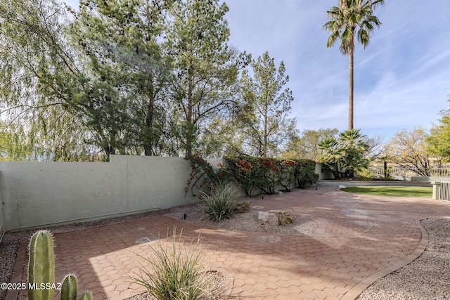 view of yard with a patio