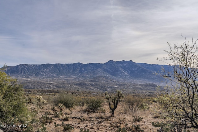 view of mountain feature