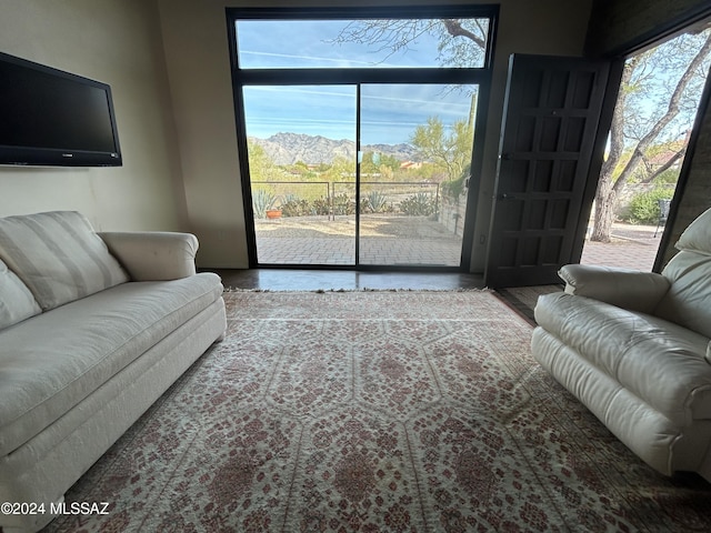 living room with a mountain view and hardwood / wood-style flooring