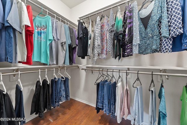 walk in closet featuring dark wood finished floors