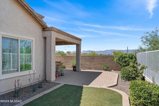 view of yard with a patio area and a fenced backyard