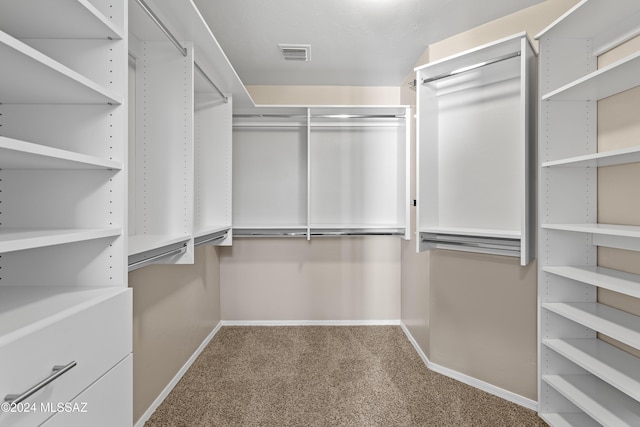 spacious closet featuring carpet